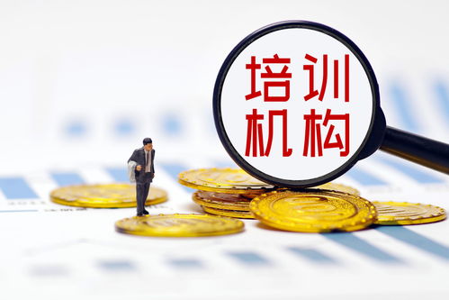 雙減政策落地重塑行業(yè)生態(tài)，培訓(xùn)機(jī)構(gòu)探尋轉(zhuǎn)型之路——多家A股上市公司發(fā)文回應(yīng)，公共就業(yè)服務(wù)或迎新機(jī)遇